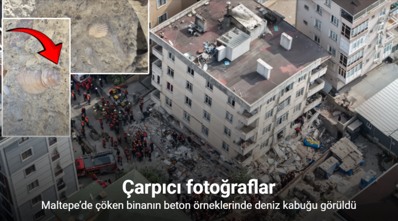 Maltepe’de çöken binanın beton örneklerinde deniz kabuğu görüldü