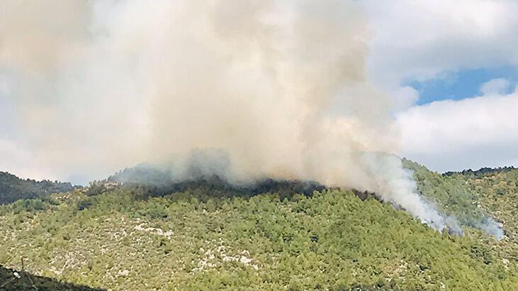 Manavgat'ta orman yangını