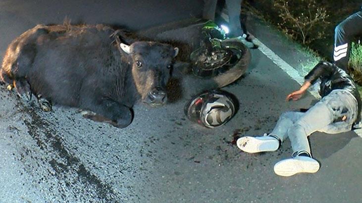 Mandaya çarpan motosikletliye ilk müdahaleyi cerrah Kınoğlu yaptı