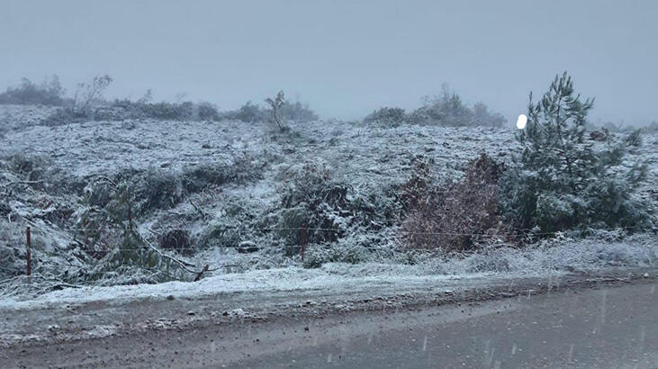 Manisa'da Turgutlu'ya 2021'in ilk karı düştü