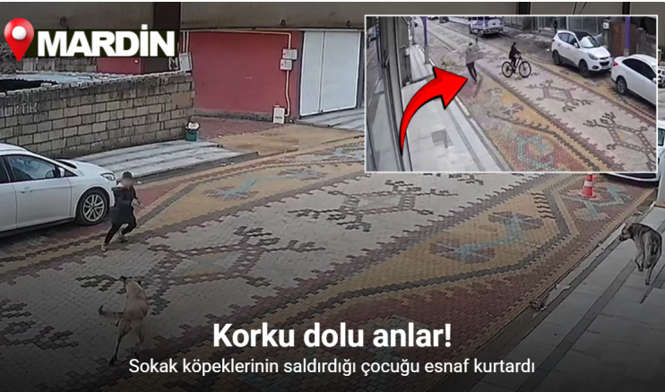 Mardin’de sokak köpeklerinin saldırdığı çocuğu esnaf kurtardı