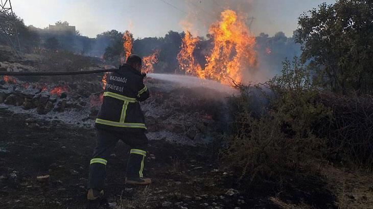 Mazıdağı'nda orman yangını