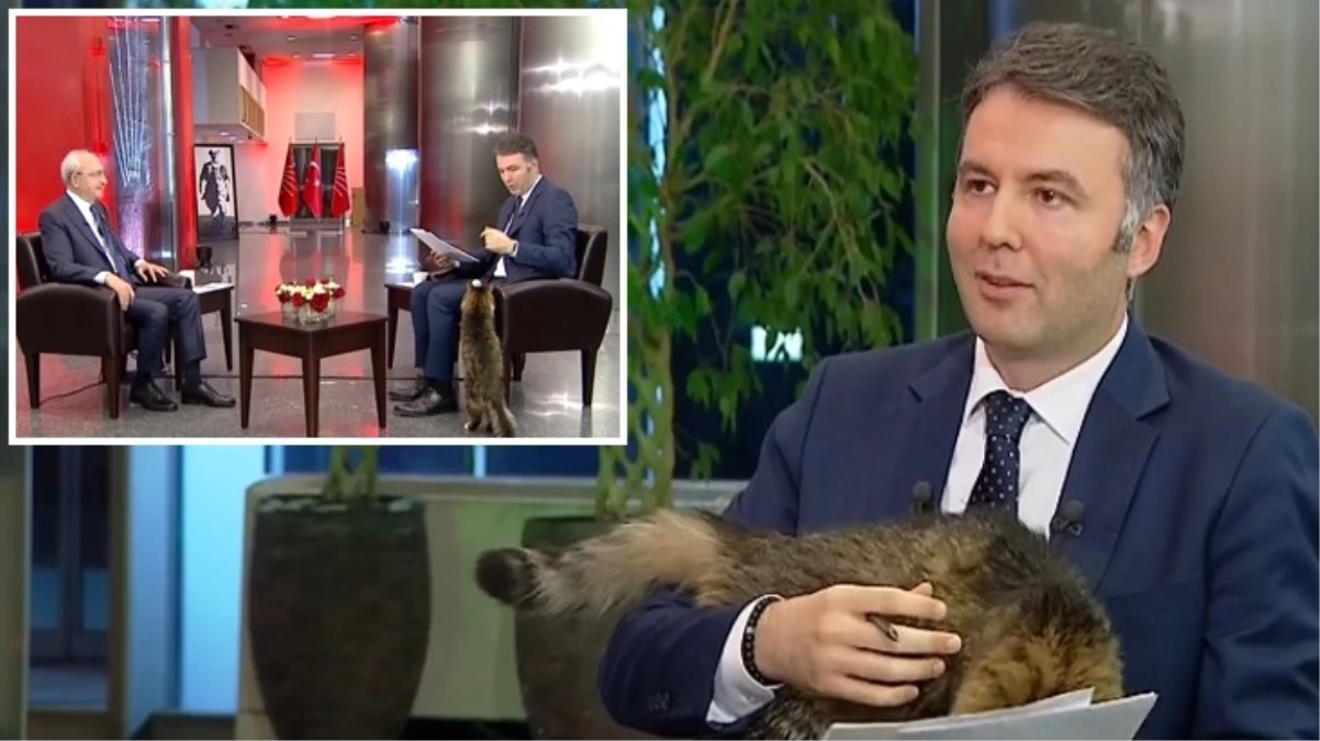 Mehmet Akif Ersoy'un en zor yayını! CHP'nin kedisi gelip kucağına oturdu