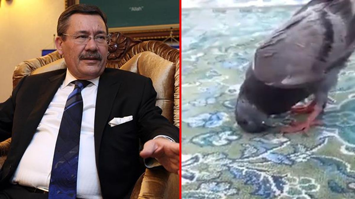 Melih Gökçek, Kabe'de güvercinin secde ettiği iddia edilen videoyu gerçekmiş gibi paylaştı