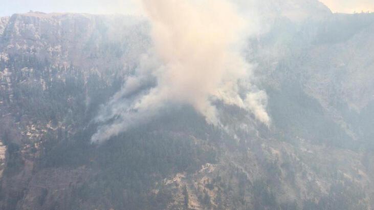 Mersin'de orman yangını! 6 helikopter havalandı