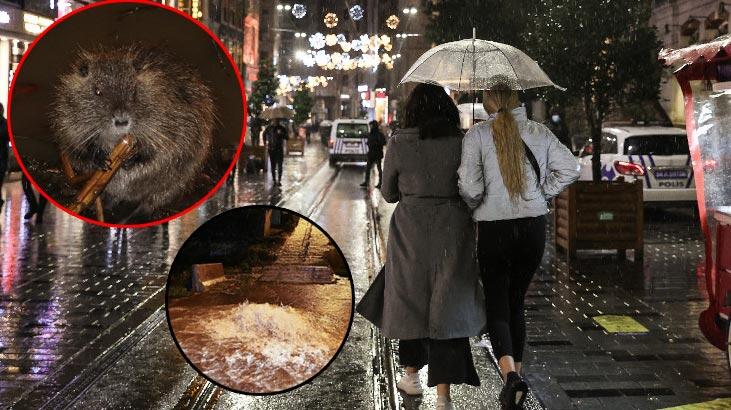 Meteoroloji uyarmıştı! İstanbul, İzmir, Edirne...