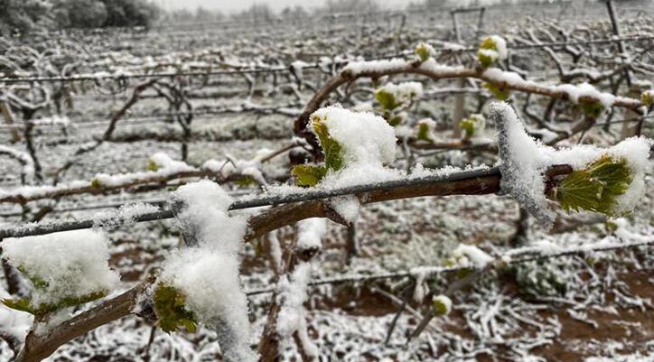 Meteoroloji’den 3 il için zirai don uyarısı!