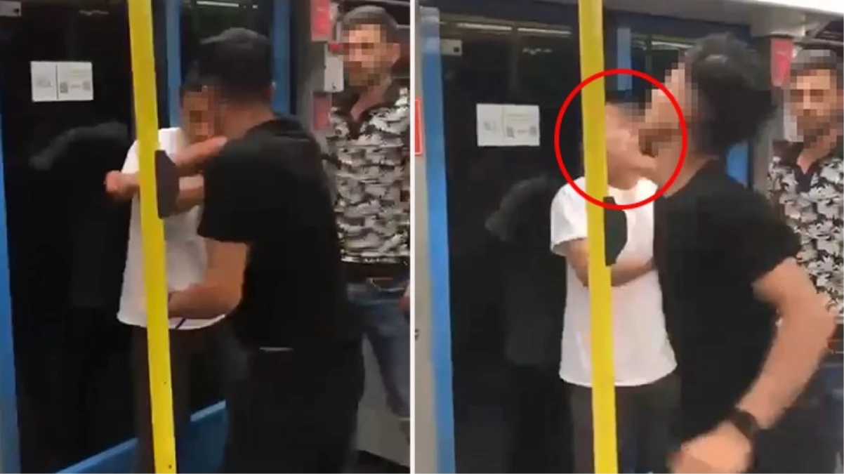 Metroda 