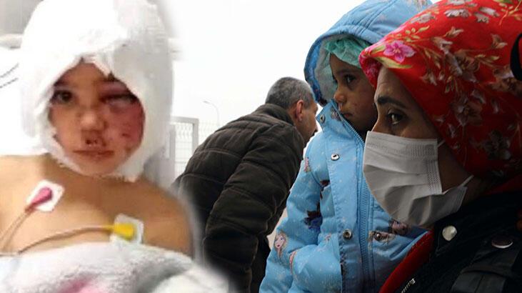 Minik Asiye’nin pitbull saldırısına uğramasına ilişkin dava 6 sanık hakim karşısında!