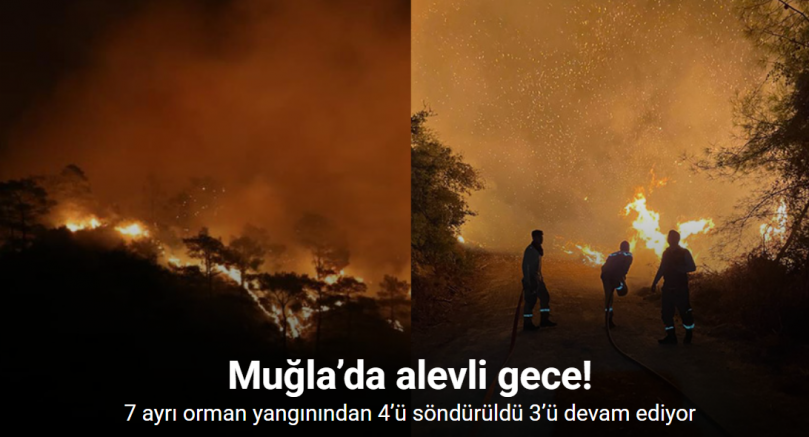 Muğla’da alevli gece: 7 ayrı orman yangınından 4’ü söndürüldü 3’ü devam ediyor
