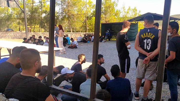 Muğla'da ormanda 55 kaçak göçmen yakalandı