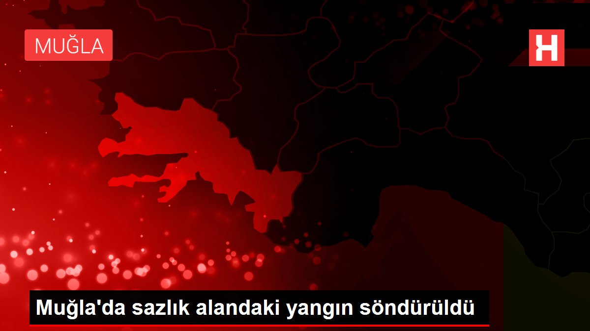 Muğla'da sazlık alandaki yangın söndürüldü