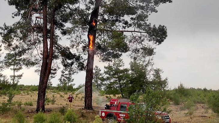 Muğla'da yıldırım düşmesi sonucu 13 günde 48 orman yangını çıktı