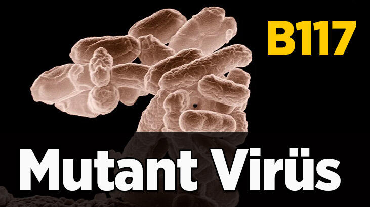 Mutasyona uğrayan korona B117 Türkiye'de görüldü mü? B117 virüsünde aşı etkili mi?