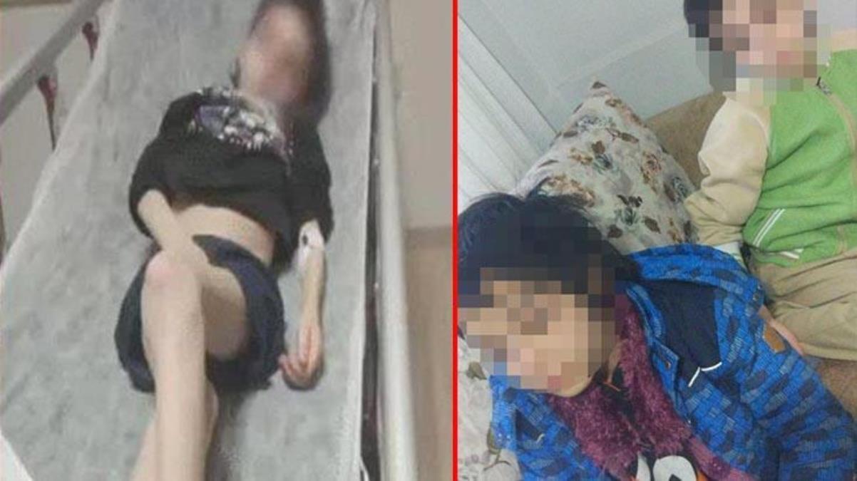 Neredeyse Elif'le aynı kaderi paylaşacaklardı! 2 kardeş, Bakanlık tarafından koruma altına alındı