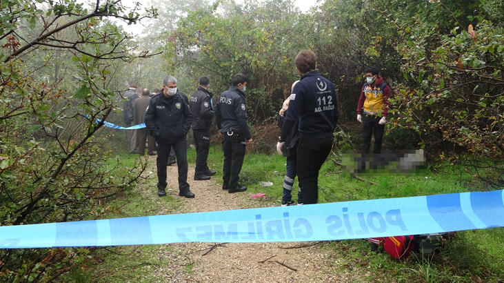 Odun toplamaya gitti, ormanda ölü bulundu