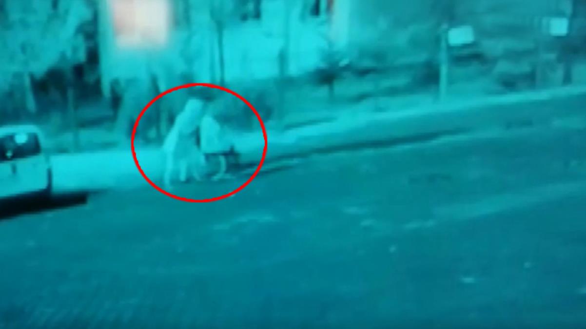 Öldürdükleri DEAŞ mensubunun cesedini dikkat çekmemek için tekerlekli sandalyeyle evden çıkarmışlar