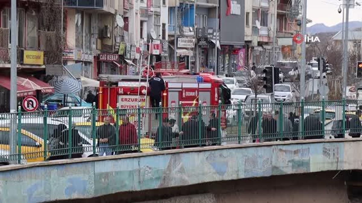 Oltu Çayı'nda köpek kurtarma operasyonu