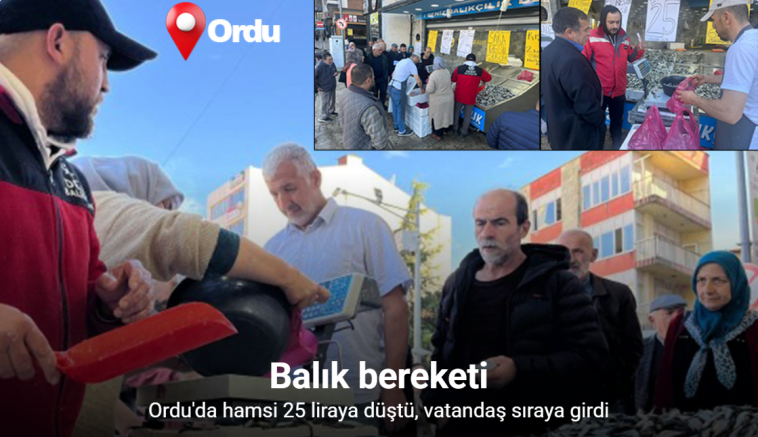 Ordu’da hamsi 25 liraya düştü, vatandaş sıraya girdi