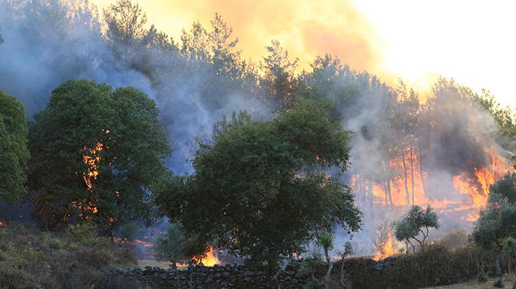 Orman Genel Müdürlüğü'nden flaş açıklama!160 yangın kontrol altında