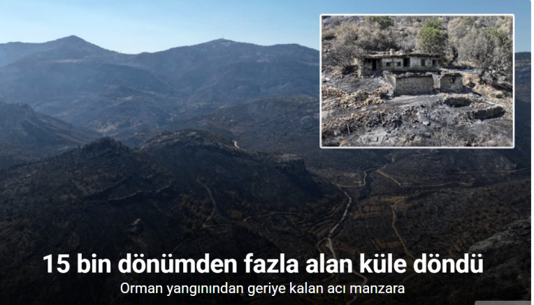 Orman yangınından geriye kalan acı manzara: 15 bin dönümden fazla alan küle döndü
