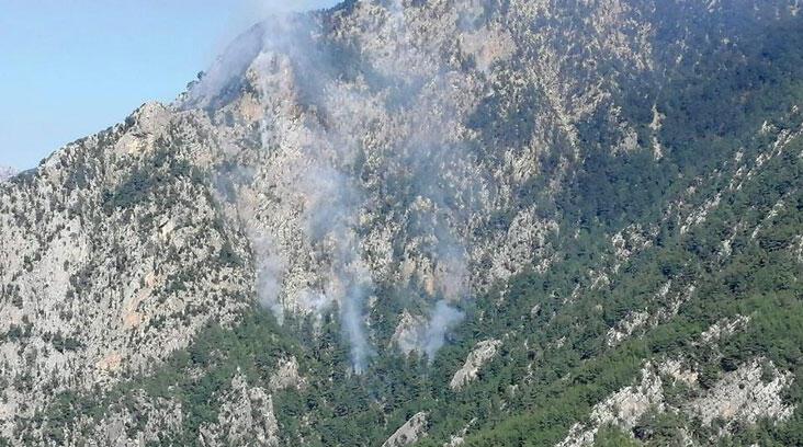 Osmaniye'de orman yangını