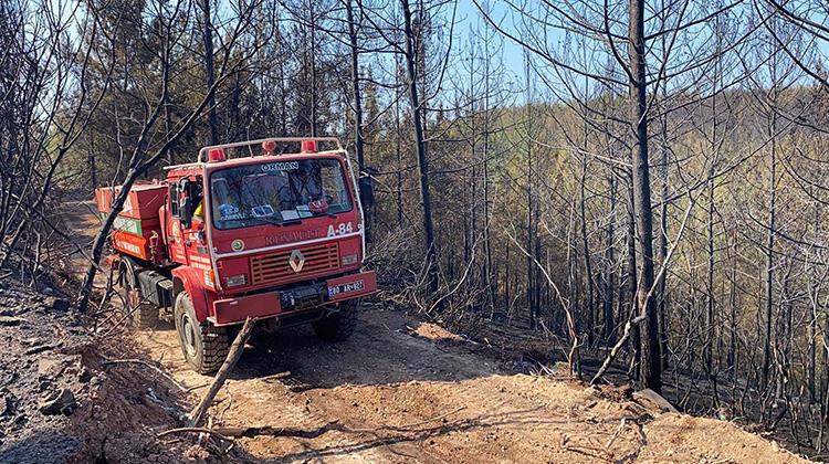 Osmaniye’deki orman yangınında 15 hektar alan zarar gördü