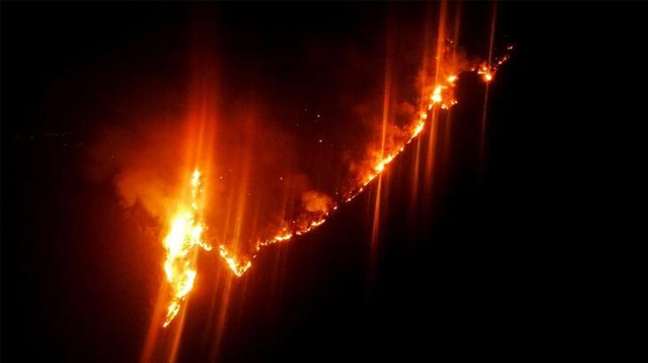 Osmaniye'deki yangında son durum! Karadan müdahale başladı