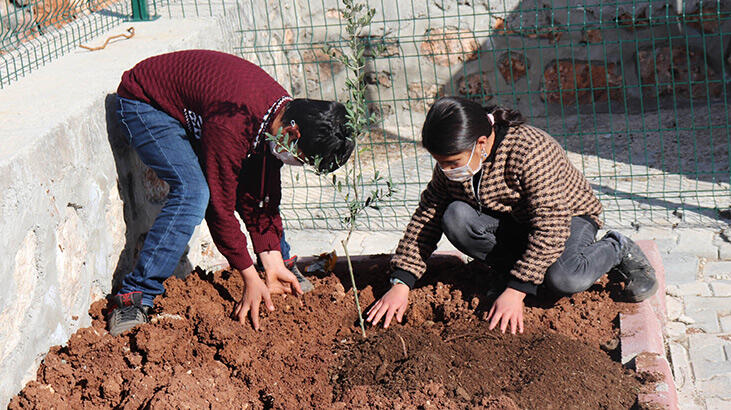 Pandemi nedeniyle ayrı kaldıkları okullarına fidan diktiler