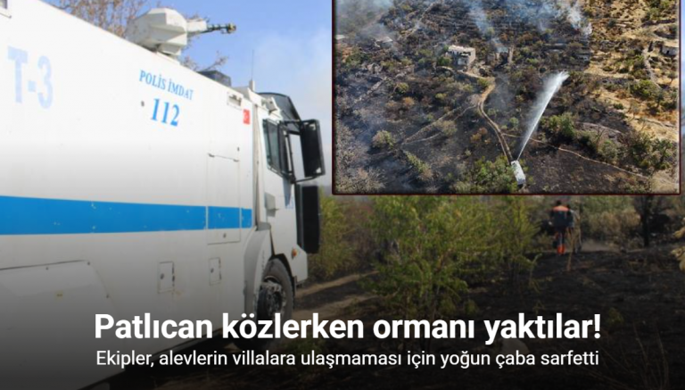 Patlıcan közlerken ormanı yaktılar