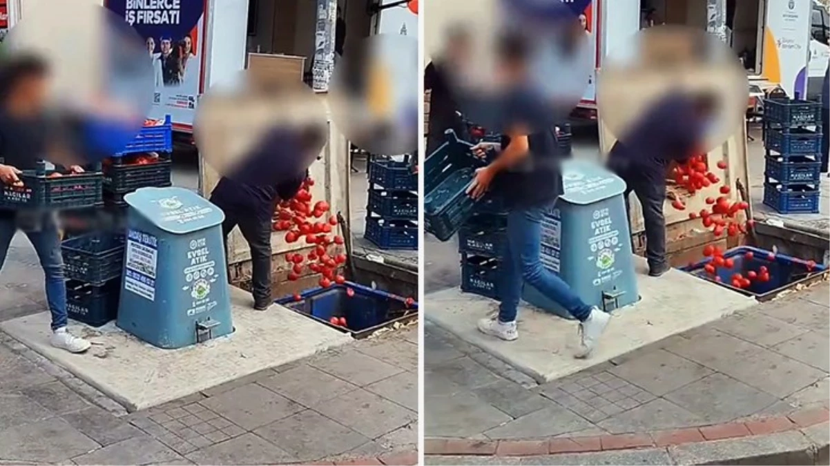 Pendik'te bir zincir markette kasalar dolusu domates çöpe atıldı