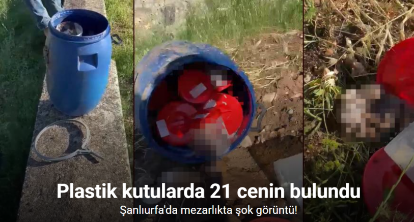 Plastik kutularda 21 cenin bulundu