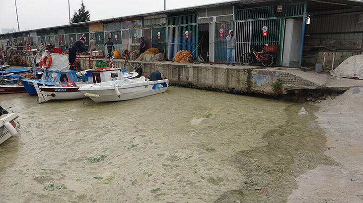 Rengi kahverengiye döndü