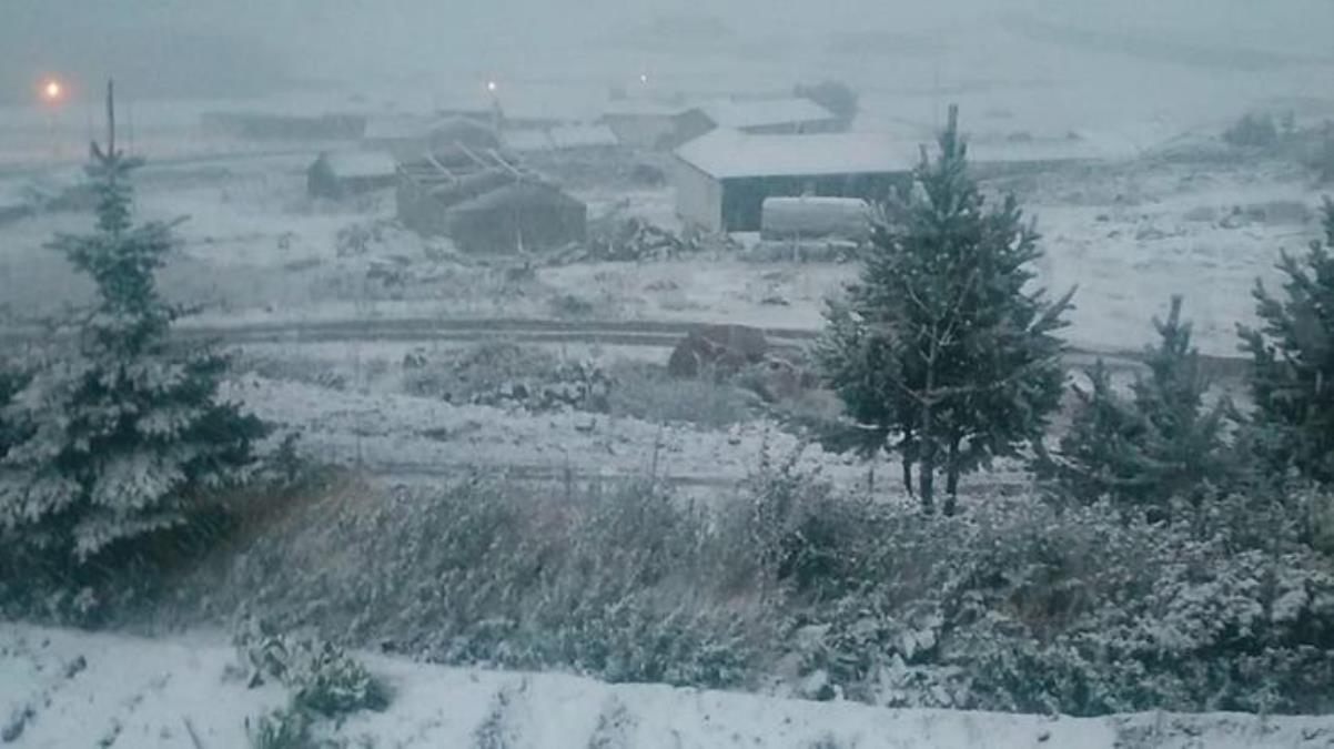 Rize'de yılın ilk karı yağdı! Yaylalar beyaz örtüyle kaplandı