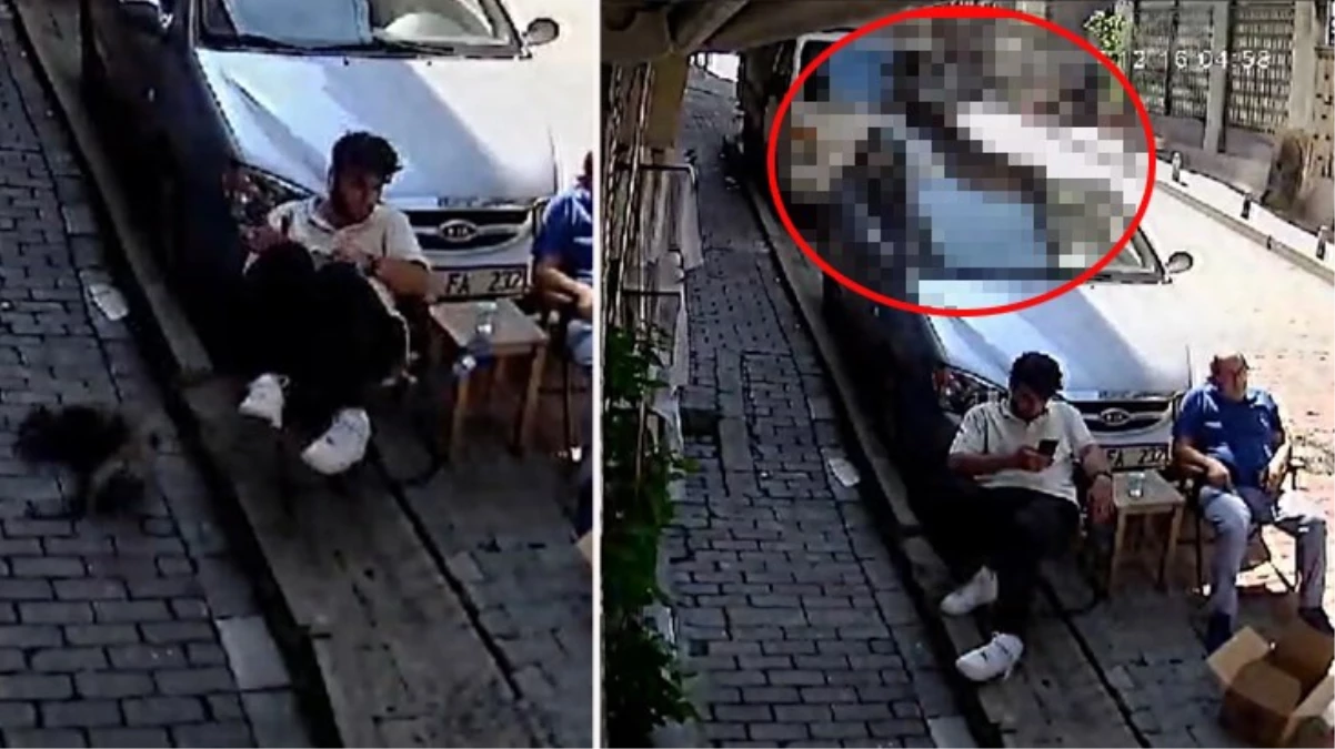 Saç tıraşı için sıra bekliyordu, ikinci kattan üzerine kedi düştü