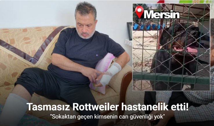 Sahipli köpeğin saldırdığı adam feci şekilde yaralandı