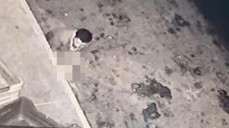 Sakarya'da iğrenç haber! Köpeğe taciz mide bulandırdı