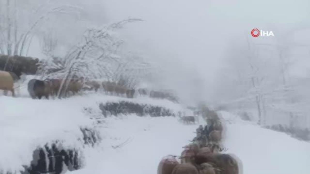 Sakarya'nın yüksek kesimlerinde kar yağışı etkili oluyor