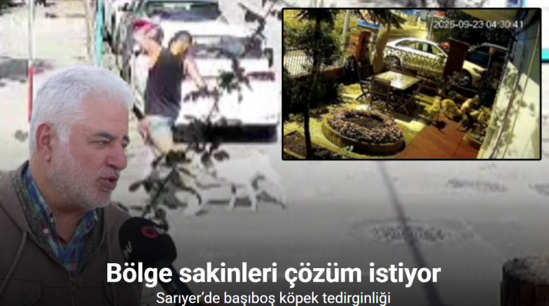 Sarıyer’de başıboş köpekler vatandaşları tedirgin ediyor