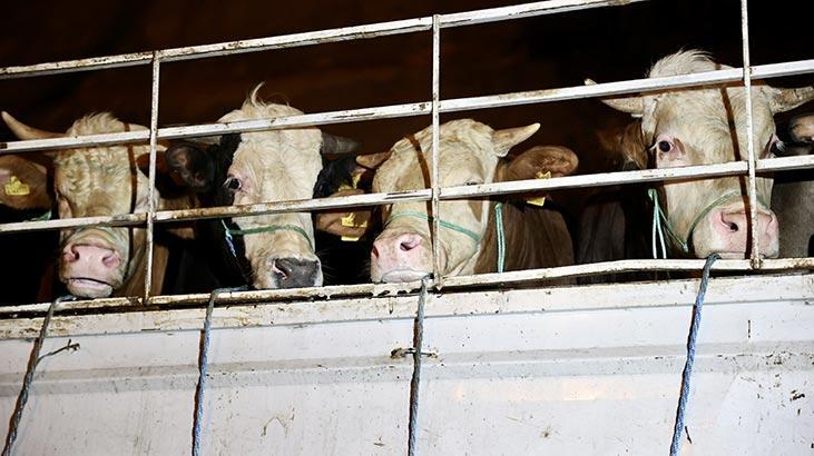 Sayılı günler kaldı! İstanbul'a girişler başladı