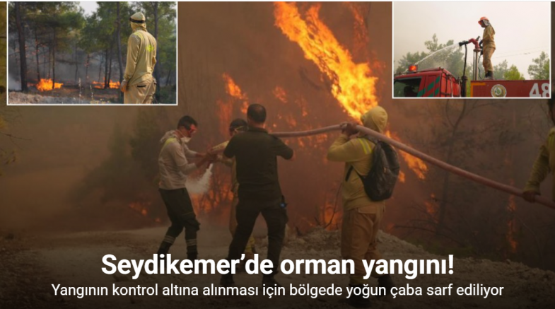 Seydikemer’de orman yangını!