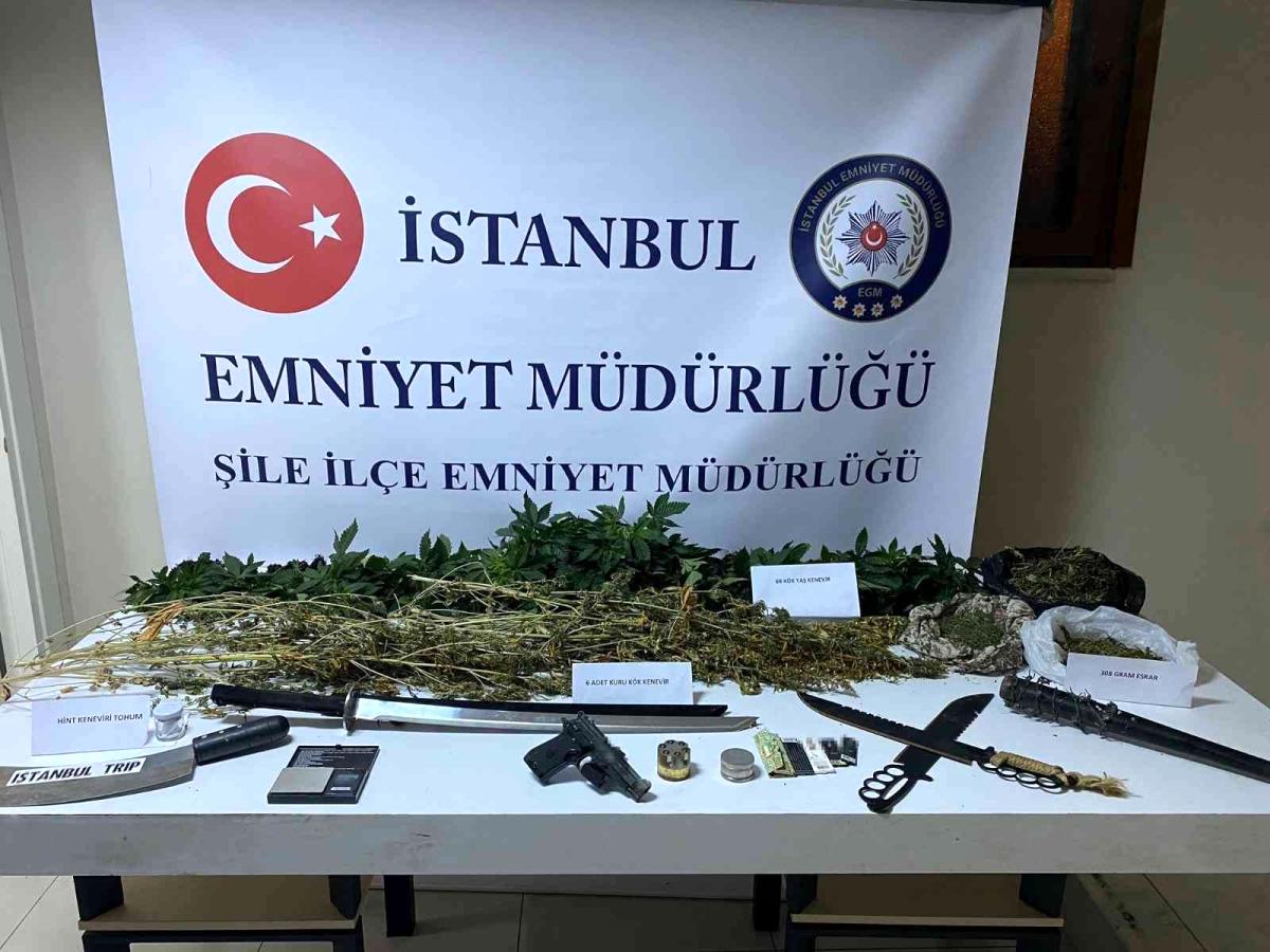 Şile'de seraya çevrilen evde 94 kök Hint keneviri ele geçirildi