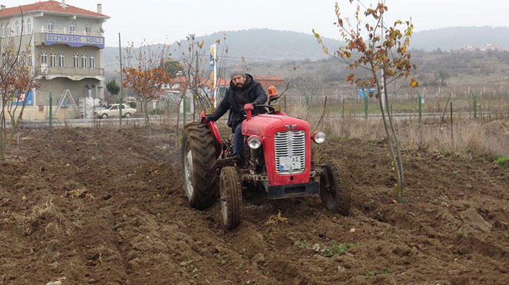 Sındırgı’ya karakılçık buğdayı ekildi