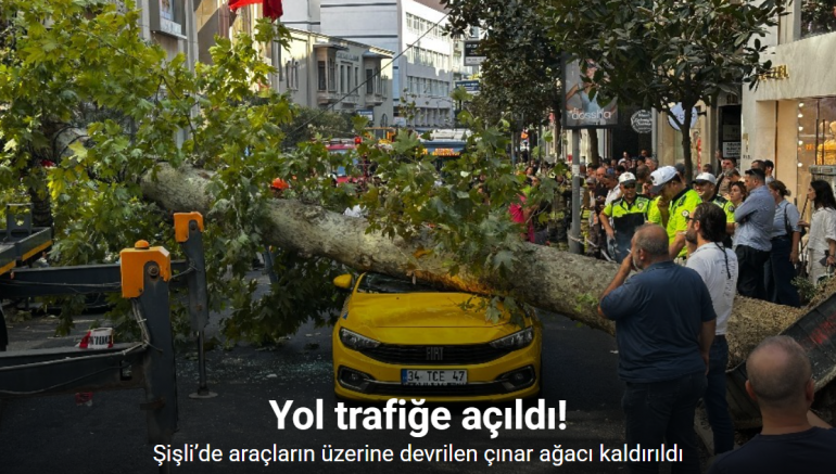 Şişli’de araçların üzerine devrilen çınar ağacı kaldırıldı