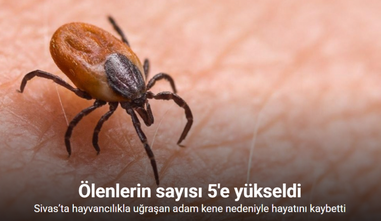 Sivas’ta hayvancılıkla uğraşan adam kene nedeniyle hayatını kaybetti