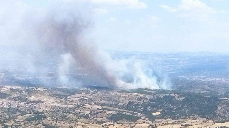 SON DAKİKA ... Manisa'da orman yangını