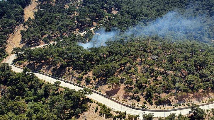 Son dakika... İzmir'de orman yangını! Havadan karadan müdahale ediliyor