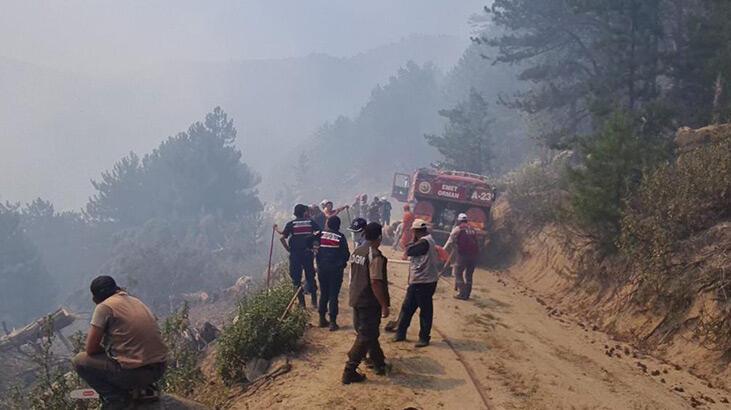 Son dakika... Kütahya'da orman yangını çıktı