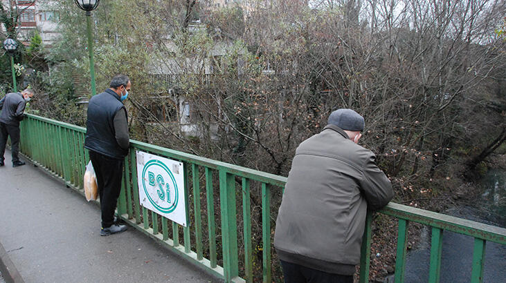 Son dakika... Şaşkınlıkla izlediler! Bartın Irmağı'nda ilgi çeken görüntü