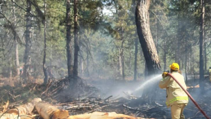 SON DAKİKA.. Osmaniye'de orman yangını! Müdahale ediliyor